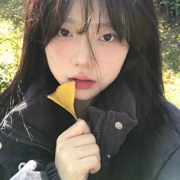 一袋锤子